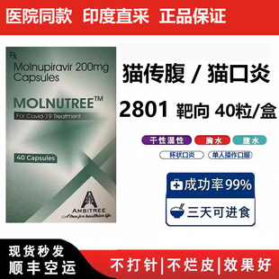 印度进口2801杯状冠状口炎传腹无痛方案干性湿性传腹口服猫用胶囊