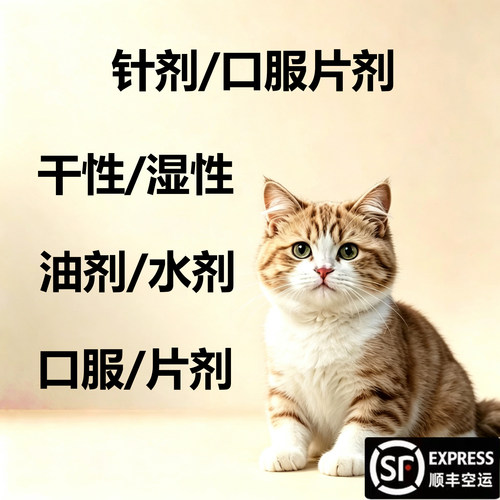 猫咪干性湿性针剂口服片剂