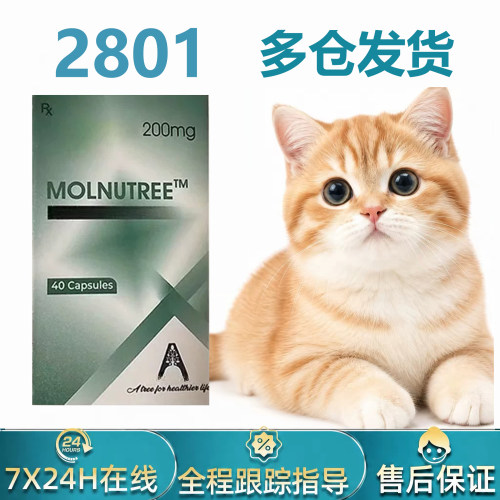 2801猫咪杯状冠状绿色胶囊
