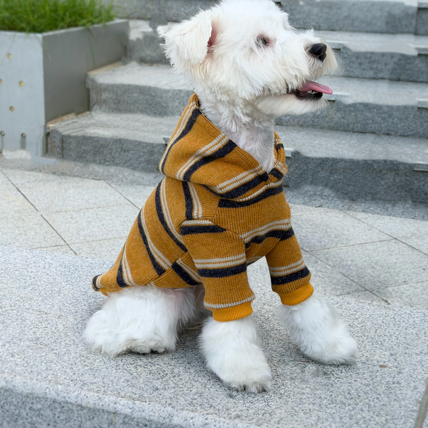 狗狗衣服2026新款秋季条纹秋冬宠物小狗连帽毛衣比熊雪纳瑞防着凉