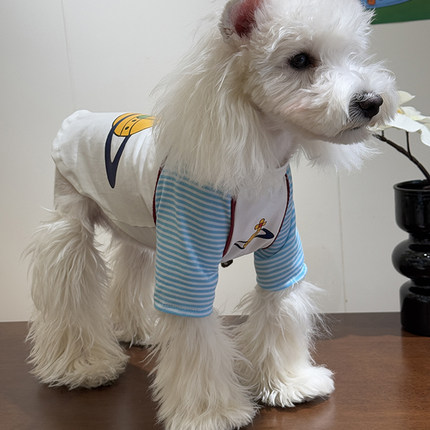 狗狗衣服夏季薄款撞色T恤宠物棉短袖春秋季中小型犬猫防掉毛泰迪