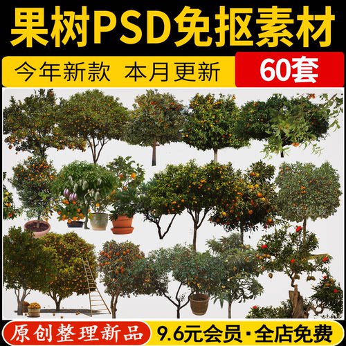 乡村院子农场果树琵琶橘子石榴橙子苹果柚子PS效果图PSD免抠素材