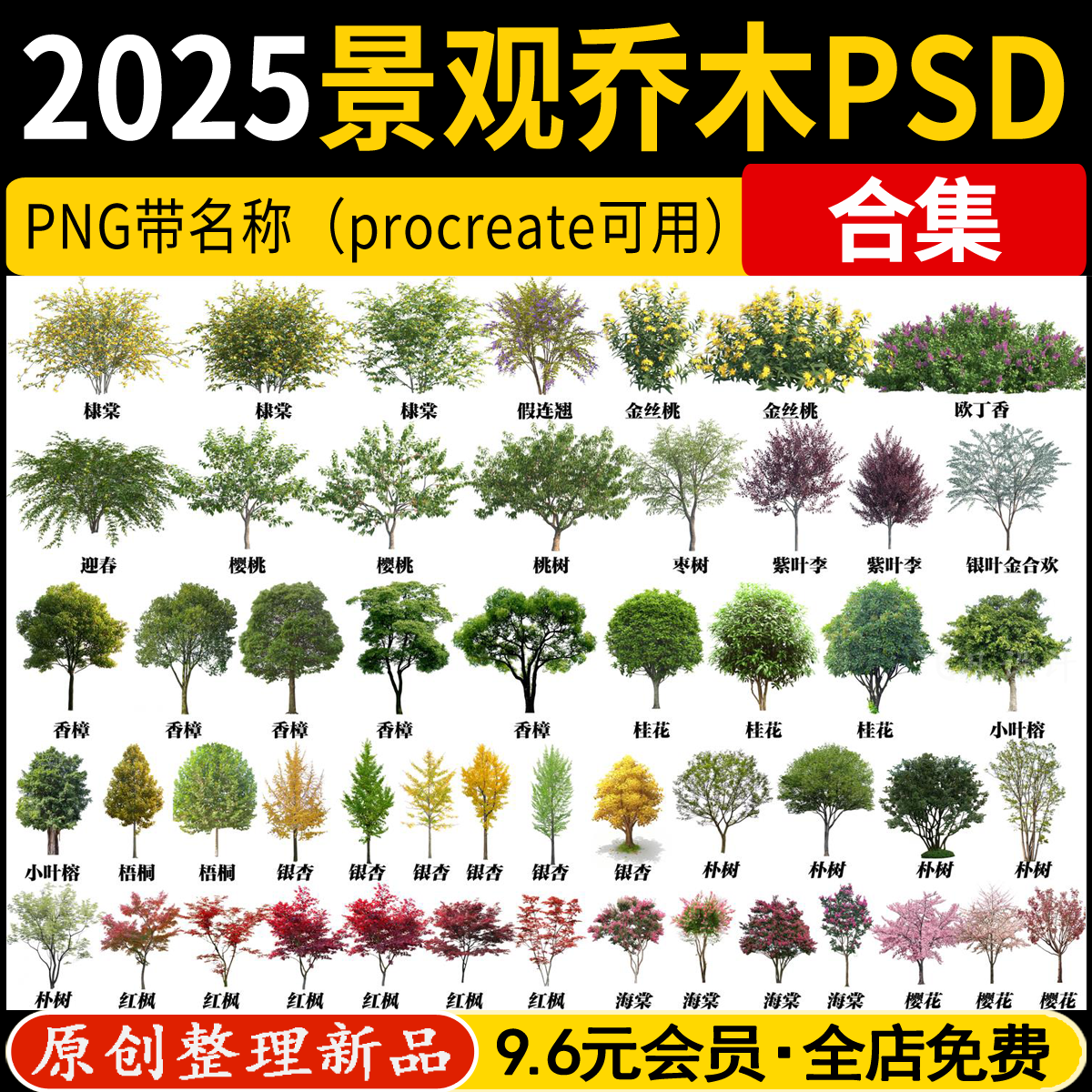 园林景观乔木PSD常绿小乔木PNG免抠常用树木植物效果图后期PS素材