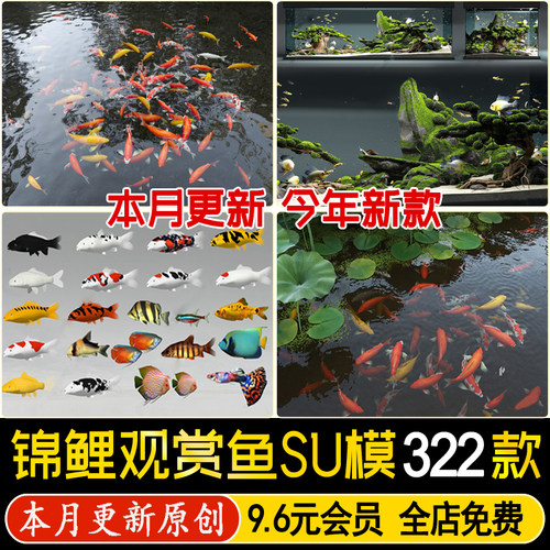 鱼池锦鲤鱼群鱼缸水族箱观赏鱼庭院金鱼热带鱼草图大师su模型素材