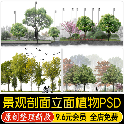 园林景观剖面图立面图竞赛风滨水植物道路横断面图 ps素材psd源件