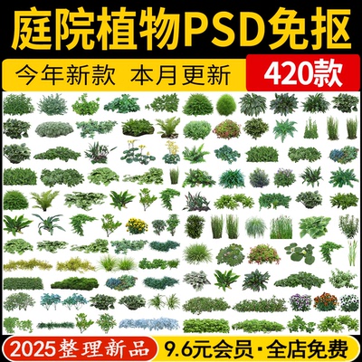 庭院花园植物灌木地被PS效果图玉簪矾根百子莲南天竹PSD免抠素材