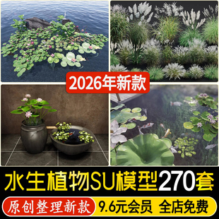 水生植物鱼池湿地滨水公园睡莲荷花菖蒲挺水草本草图大师su模型
