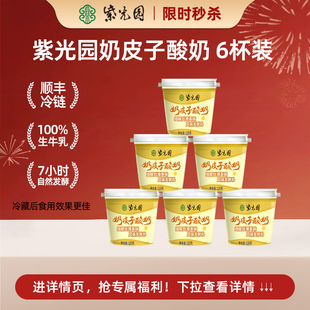 (秒)紫光园奶皮子酸奶官方旗舰店老字号清真风味豆腐老北京酸奶皮