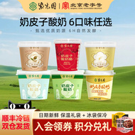 紫光园奶皮子酸奶酪糖葫芦味100g