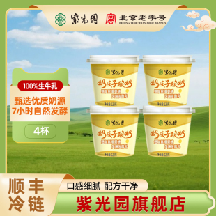紫光园奶皮子酸奶风味120g*4