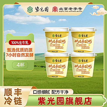 紫光园奶皮子酸奶风味120g*4