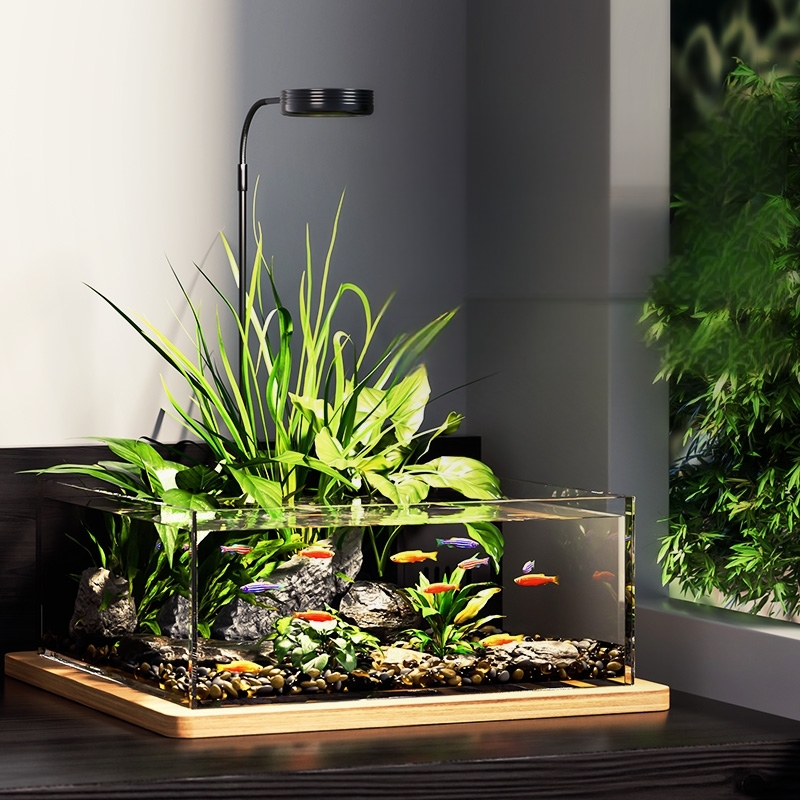沁桌面玻璃生态缸免造景全套鱼缸