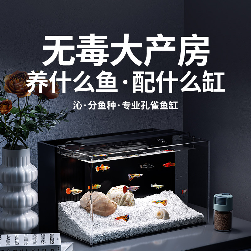 小鱼缸过滤制氧一体机小型客厅生态斗鱼孔雀鱼新款桌面超白玻璃缸