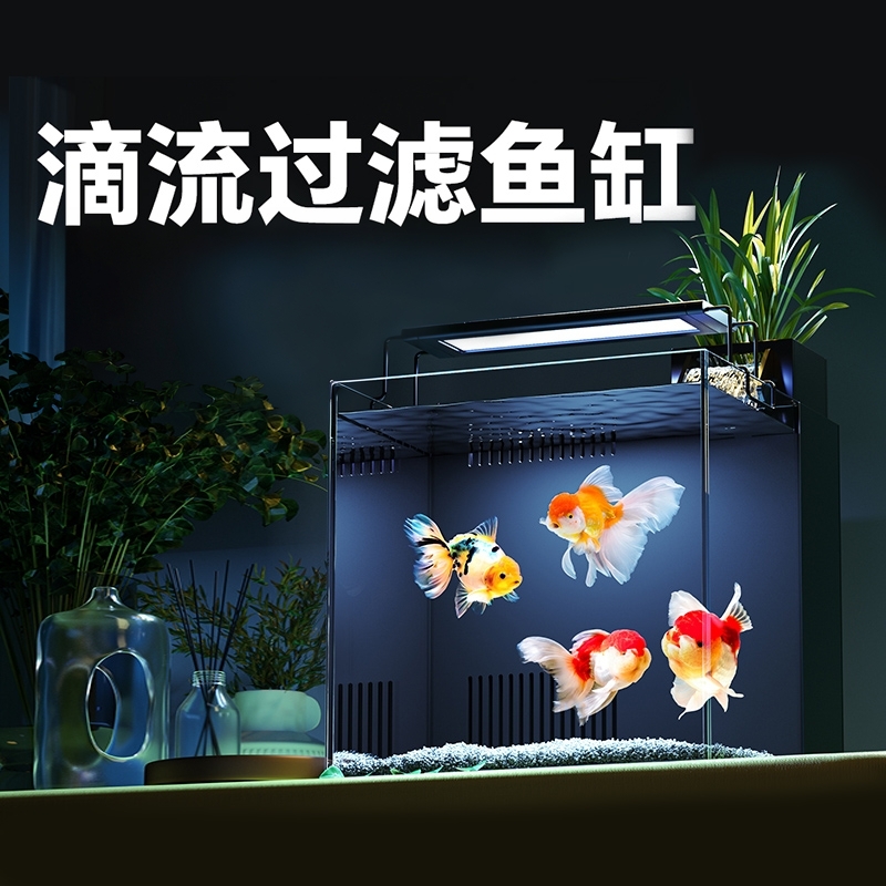 沁小型超白玻璃背过滤兰寿鱼缸