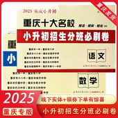 2025新版 重庆十大名校小升初招生分班必刷卷语文数学全套 小学毕业升学真题详解总复习资料五六年级冲刺名校小升初必刷题复习资料