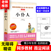 无障碍精读版 快乐读书吧 课外阅读物书籍 爱阅读课程化丛书 小仆人