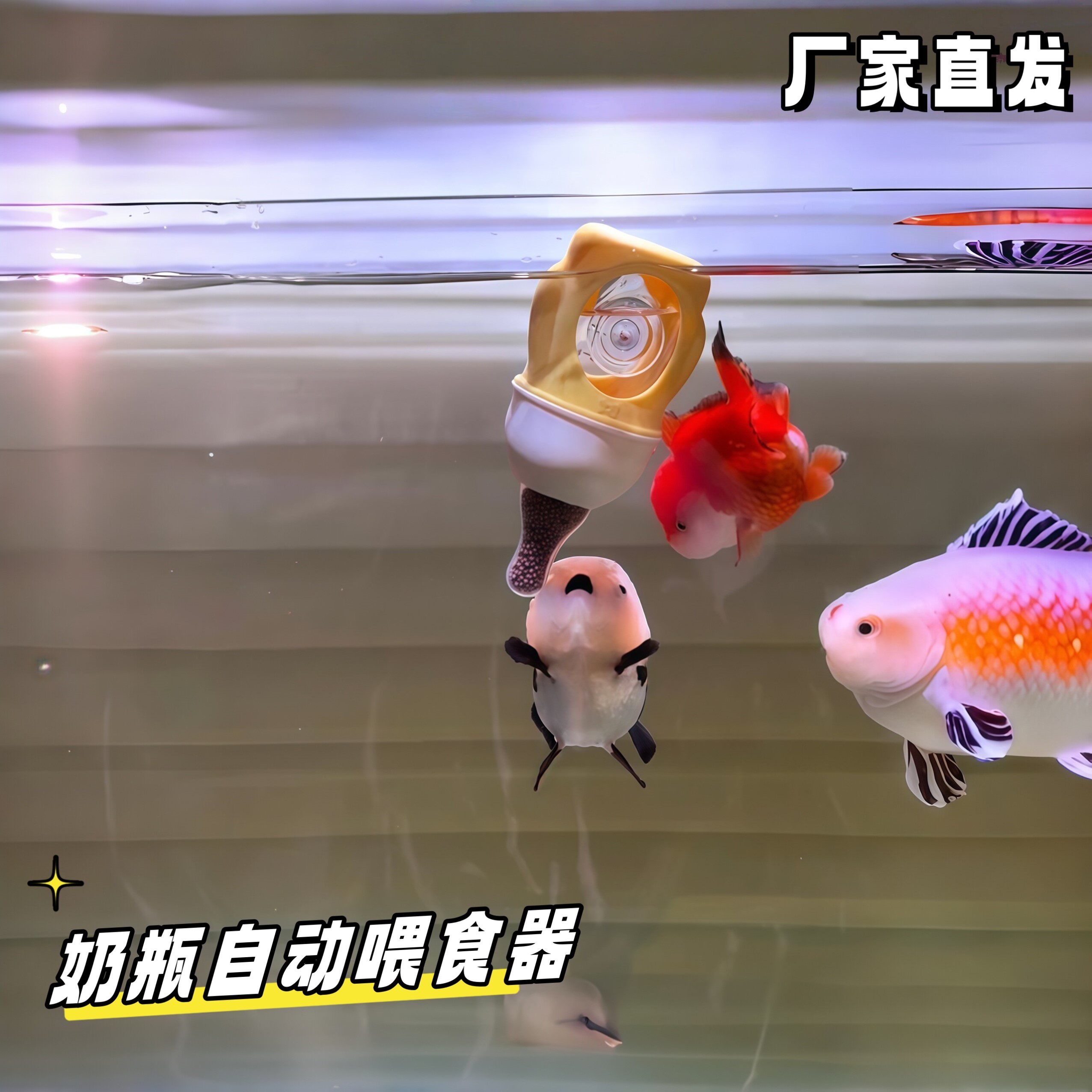 奶瓶自动喂食器鱼缸兰寿金鱼
