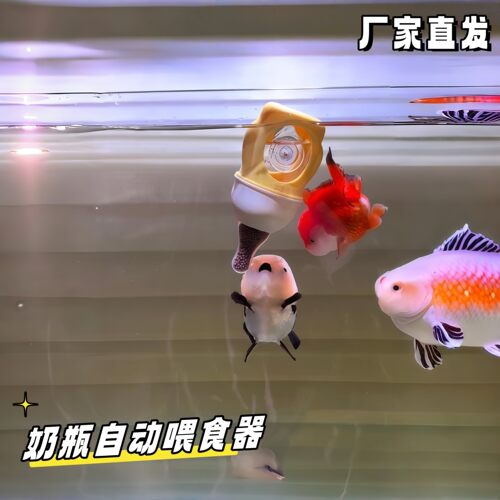奶瓶自动喂食器鱼缸兰寿金鱼