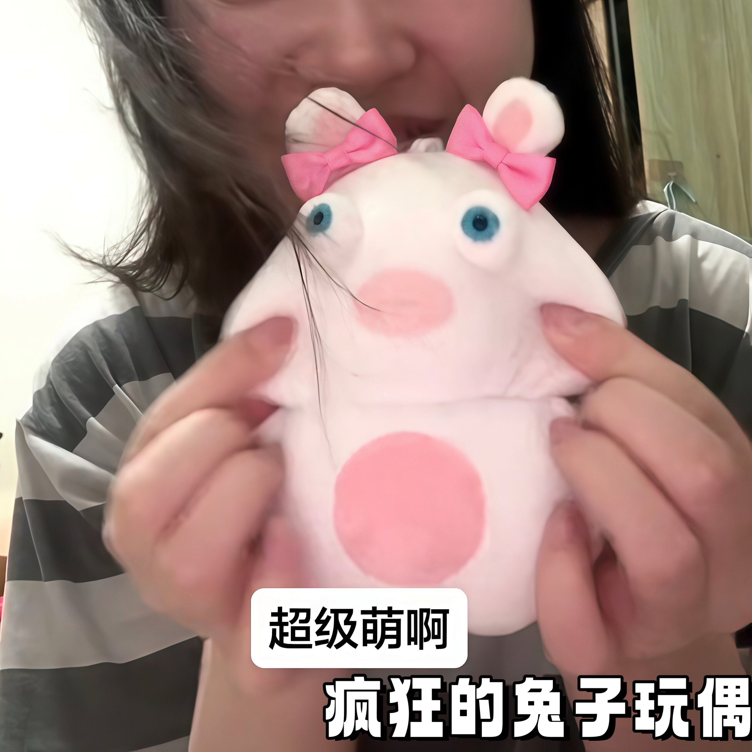 疯狂的兔子Q版毛绒公仔解压