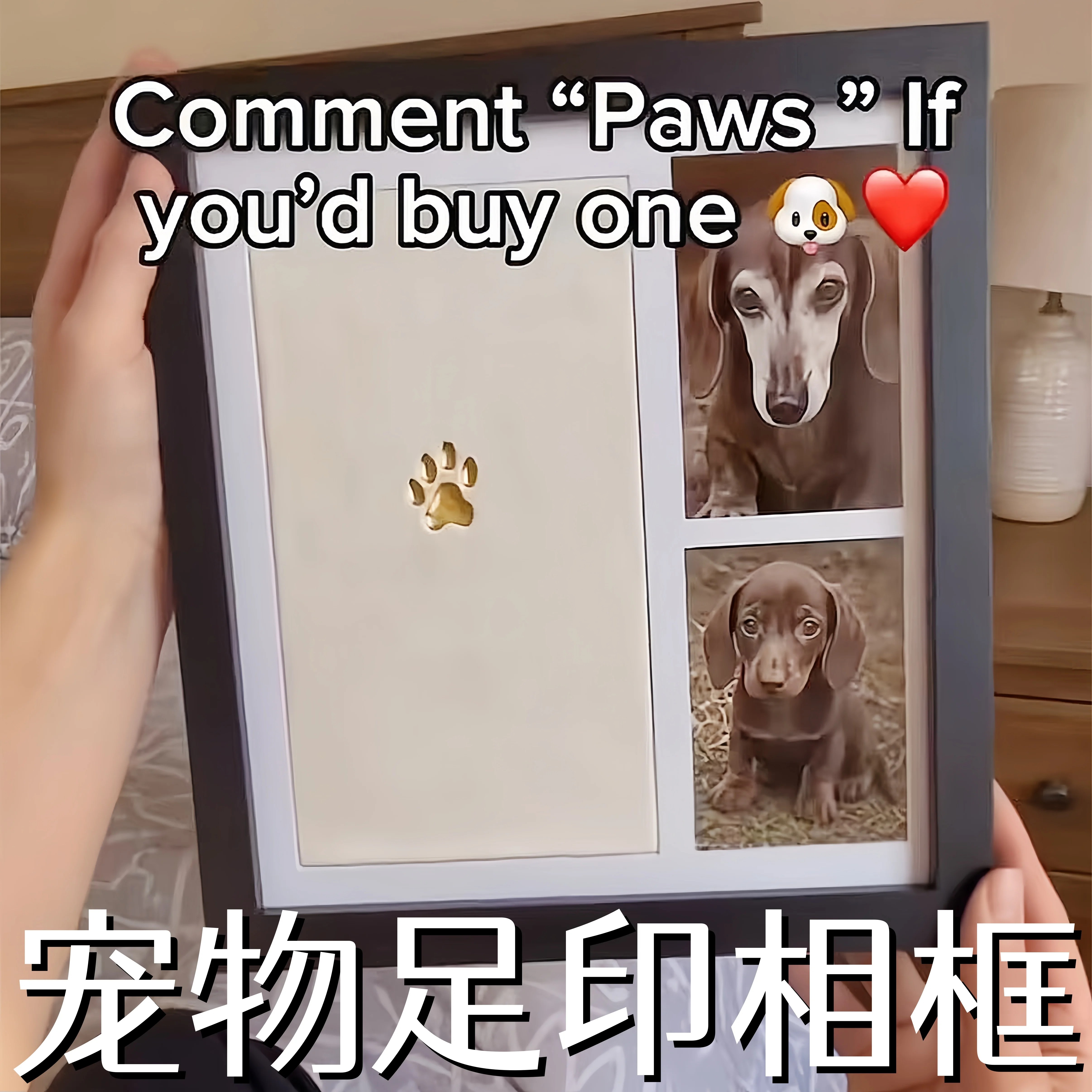 猫狗爪印相框定制照片纪念