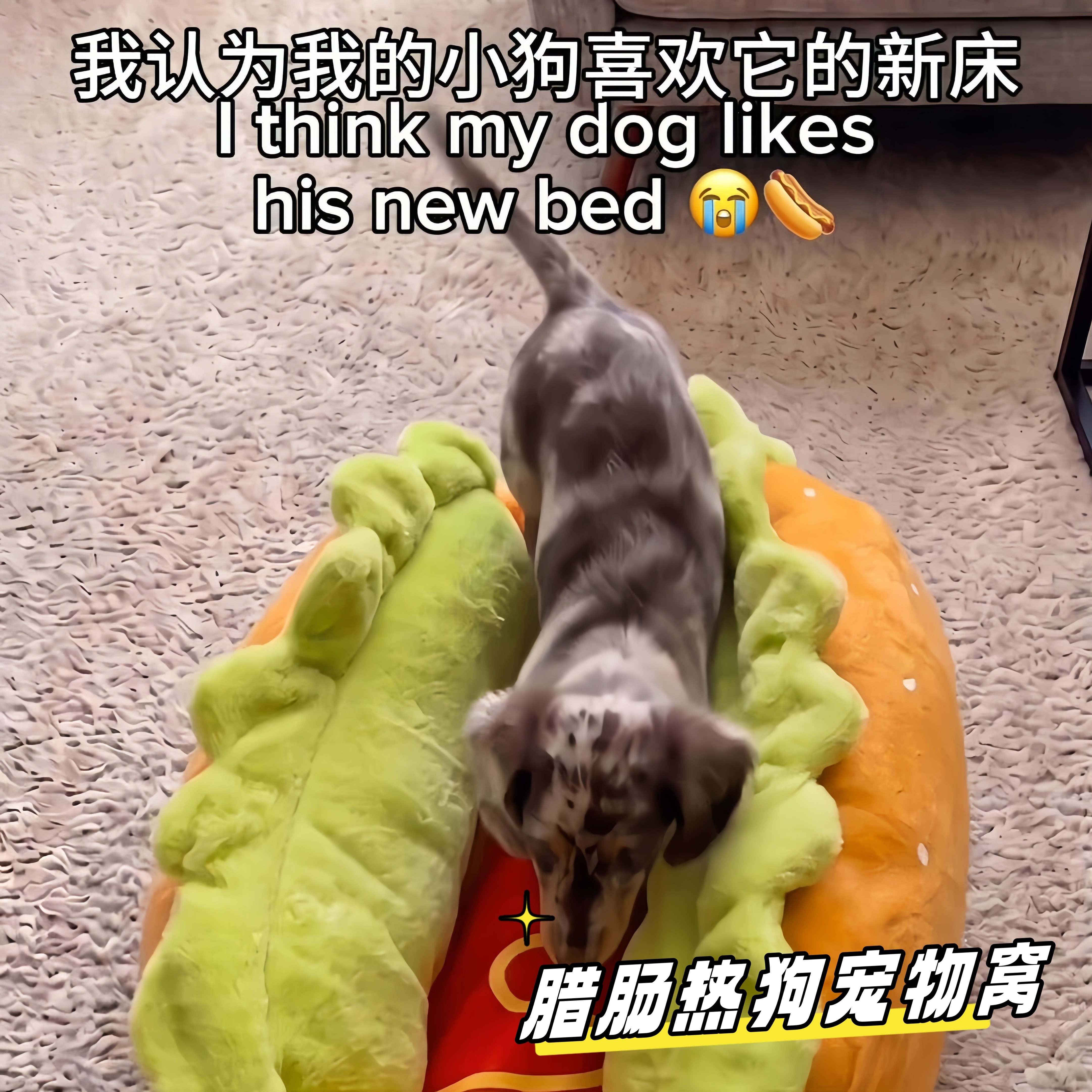 腊肠狗热狗造型可拆洗保暖窝