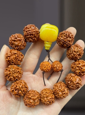 核桃男树王树王小金刚