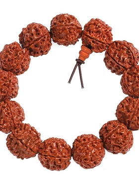 大金刚菩提手串男士新籽