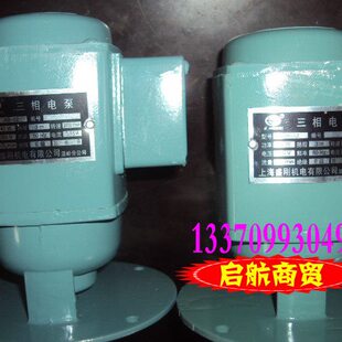 机床水泵摇臂钻床钻铣床三相电泵380V40W(DB-12AB-12)机床冷却泵