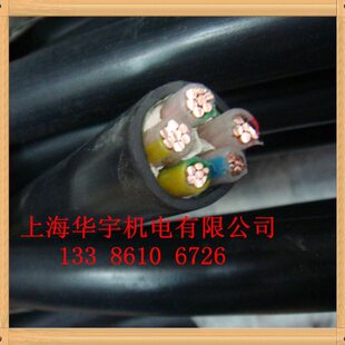 2X10铜芯电力电缆 10电缆 纯铜电缆 YJV3X16