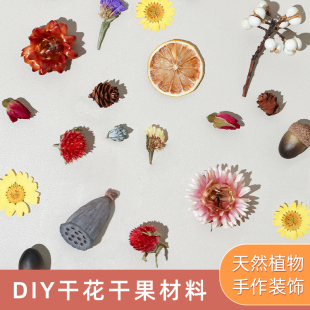 ZUO干花diy材料手工香薰蜡烛天然永生花干果装 饰自制团扇相框摆件