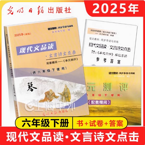 2025年现代文品读6年级下