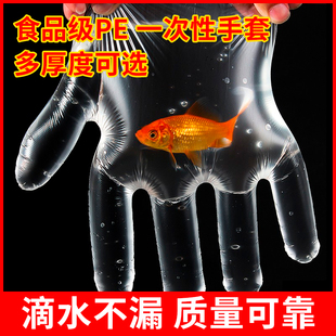 一次性手套食品专用餐饮透明薄膜厨房pe手套透明加厚食品级商用