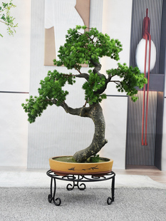 盆景摆放架大花盆底座单层置物架矮花架子落地式阳台客厅承重架子