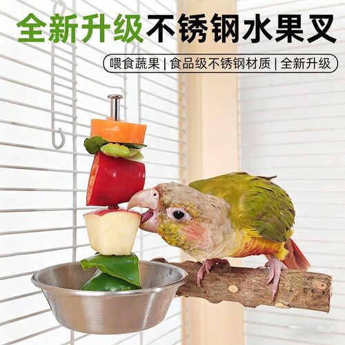 鹦鹉不锈钢果蔬架玄凤牡丹虎皮喂食器带接食碗鸟笼防打翻鸟用品