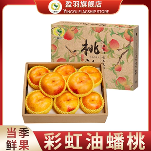 【盈羽】山东彩虹油蟠桃桃新鲜现摘时令新鲜水果3斤起