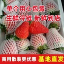 大草莓商用10斤散裝 云南草莓新鮮四季 基地直發(fā)茶飲現(xiàn)貨烘焙燒仙草