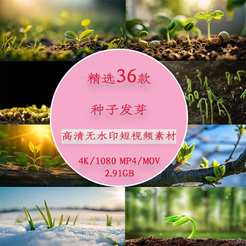 春天种子发芽延时摄影春天万物复苏生机勃勃风景视频种子发芽视频