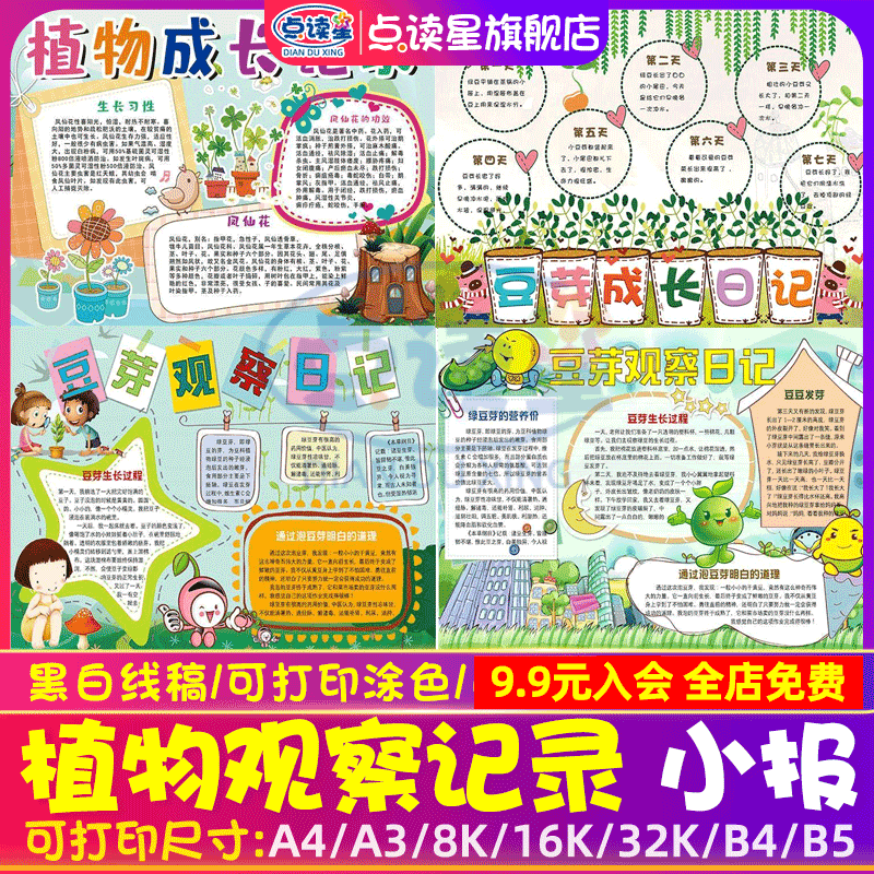植物生长观察记录小报豆芽多肉成长日记植物养护日记手抄报电子版