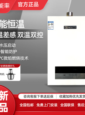 NORITZ/能率GQ-16JD01FE恒温16升静音强排室内家用防冻燃气热水器