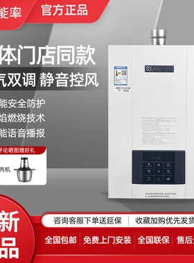 NORITZ/能率GQ-13H2AFEX/GQ-16H2AFEX伺服器恒温16升燃气热水器