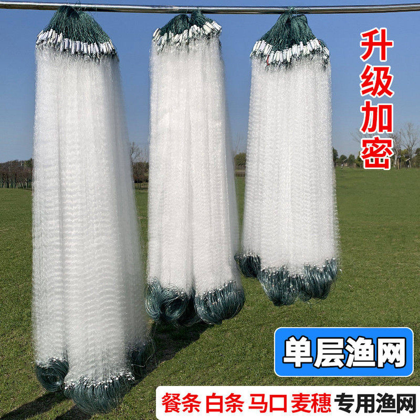 小餐条鱼网单层渔网粘网白条餐条用小鱼网丝网三层沉网浮网捕鱼网