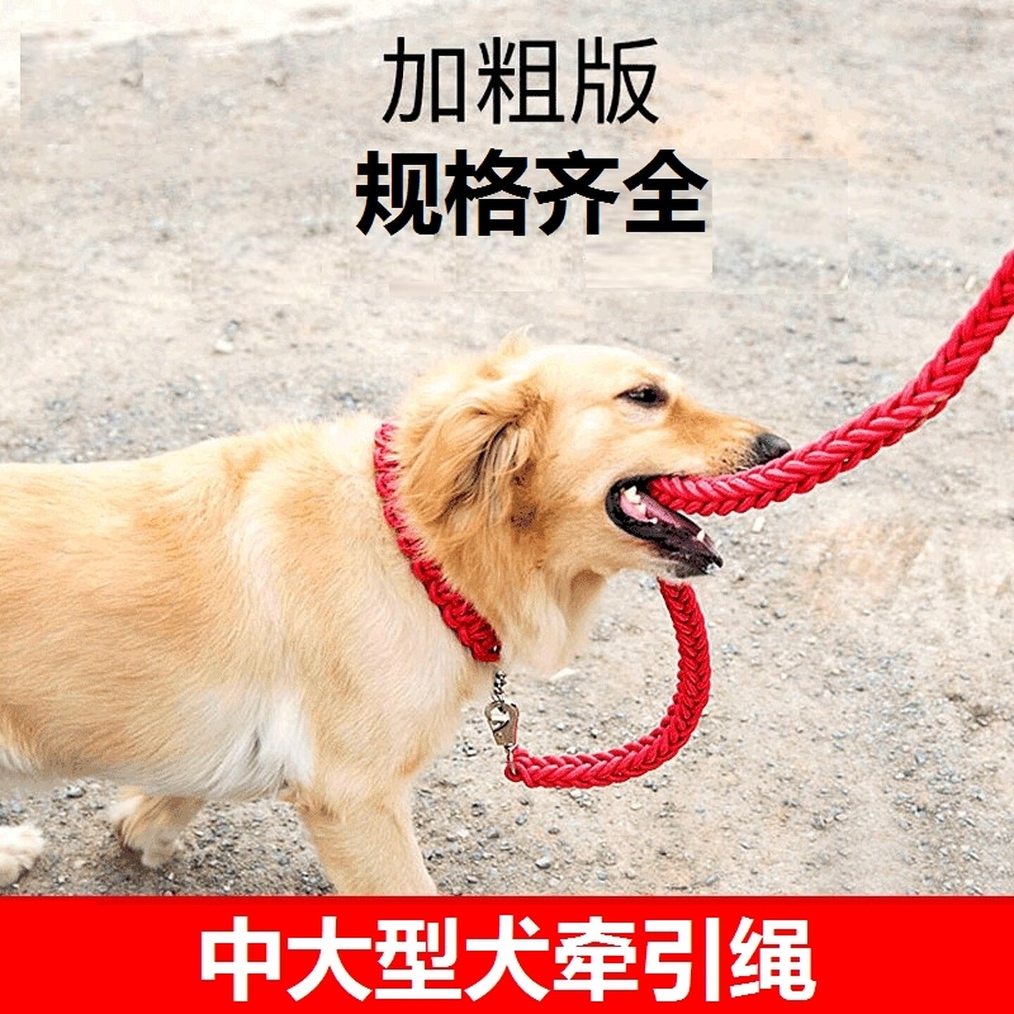 狗绳子牵引绳防咬断狗绳子宠物狗狗项圈防走失带牵引绳日常遛狗绳