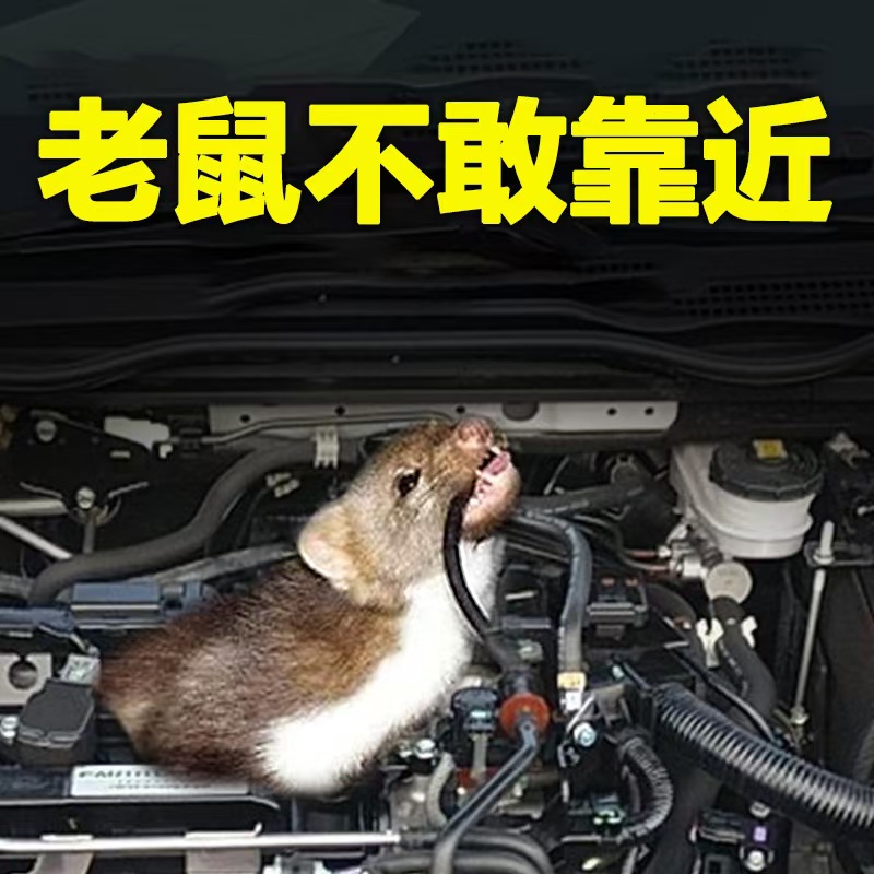 汽车防鼠神器驱赶樟脑球