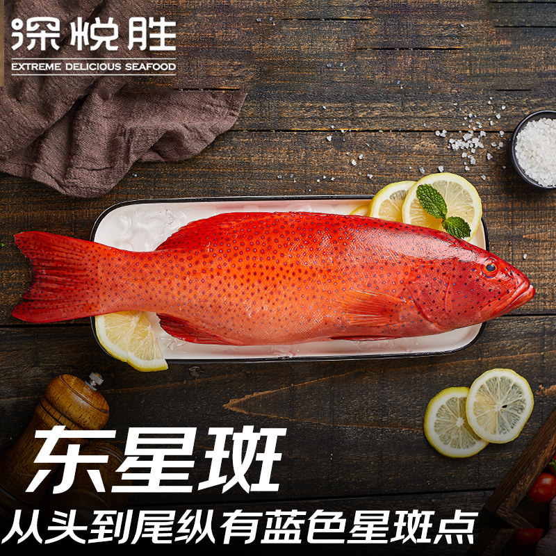 鲜活冷冻深海东星斑鱼 东升斑 (三去)石斑鱼海鲜水产鱼类