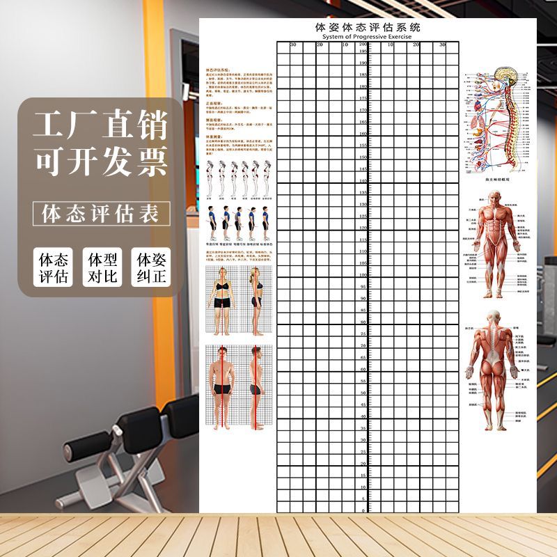 中医脊椎修复身体体态评估图健身房形体姿势体态评估系统分析图表