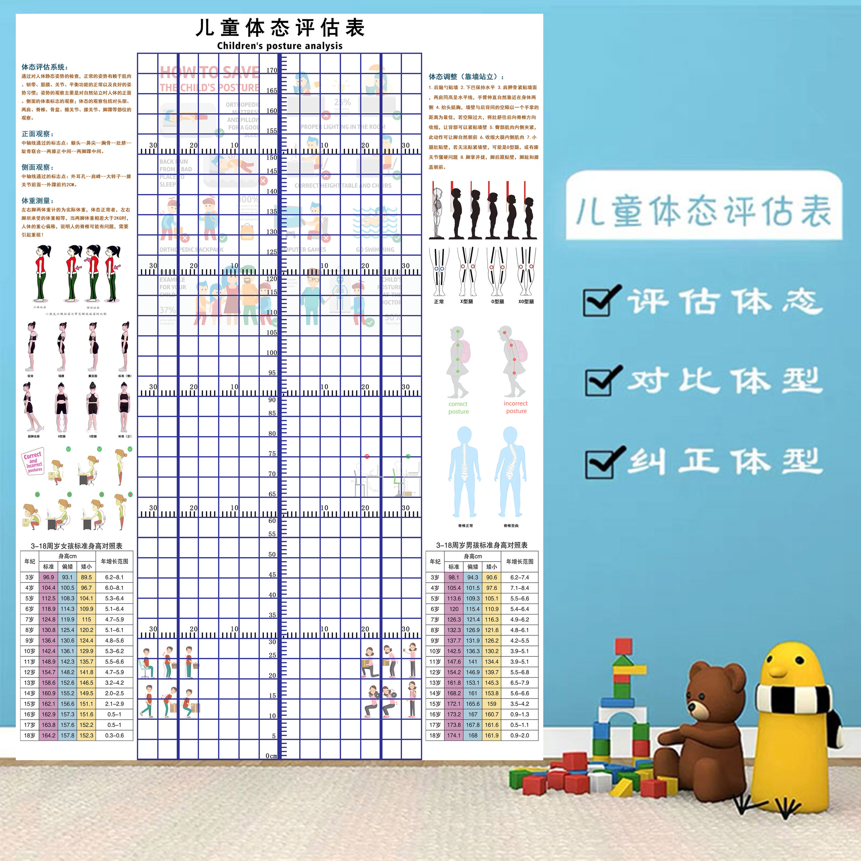儿童体态评估图青少儿体姿体态评估表礼仪形体姿势矫正体测身高表