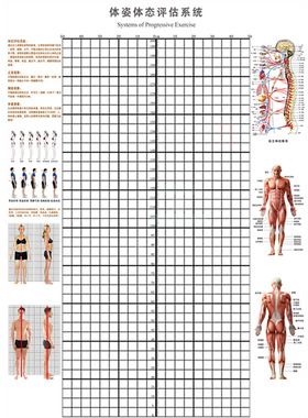 体态评估墙贴挂式身高体测评估表健身房体测网格纸身体矫正体态表