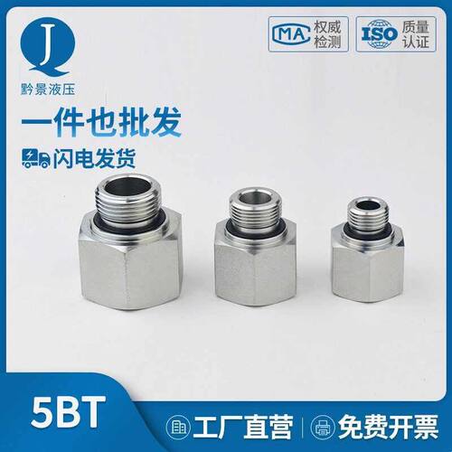 5BT系列内外丝补芯接头过渡接头英制管外螺纹转PT/ZG/Rc/R内螺纹