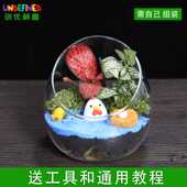 宽口切口瓶苔藓微景观生态瓶diy材料包创意玻璃植物盆栽摆件套装