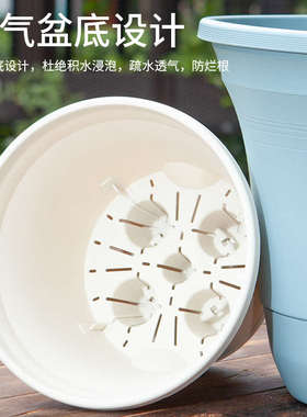 【拍1发4】懒人花盆加厚PP树脂草莓种植盆塑料自吸水花盆自带卡托